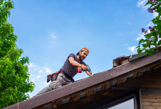 Best Chimney Flashing Repair  in Whitmore Lake, MI